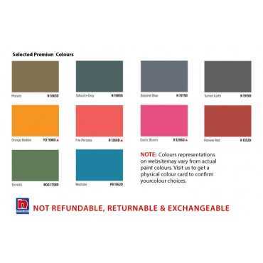 Nippon Paint Weatherbond...