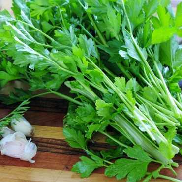 JC Garden V18 Vegetable...